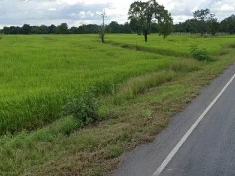 ขาย ที่ดิน เนื้อที่ 16-1-72 ไร่ อพุทไธสง ติดถนนบุรีรัมย์ - ขอนแก่น อหนองสองห้อง 95 เมตร