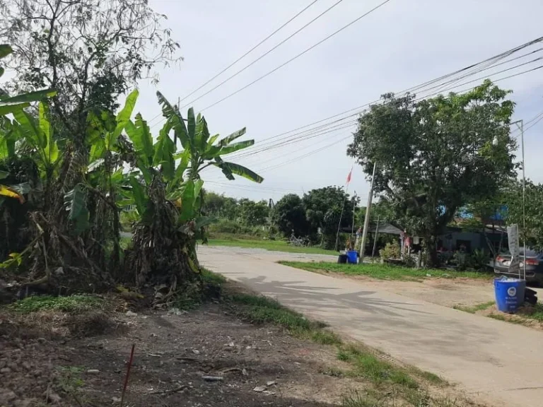 ขายที่ดิน เขาพระ ฮิลล์ วิวเขาเต็มตา 100 ตรวสด ผ่อนได้ ถนนคอนกรีต น้ำ-ไฟพร้อม โฉนดครุฑแดงพร้อมโอน เขาพระ นครนายก