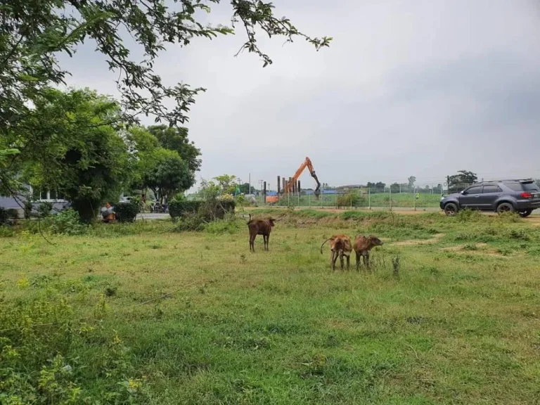 ขายเช่า ที่ดินถมแล้ว ติดถนนเลียบทางรถไฟ ราชบุรี-บ้านโป่ง