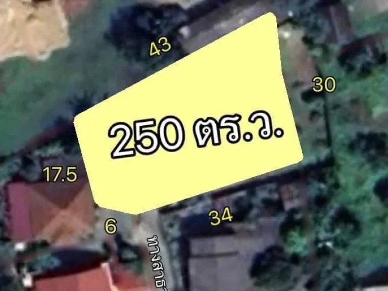 ขายด่วน บ้านพร้อมหอพักสร้างใหม่ 250 ตรว ผังสีเหลือง อสารภี จเชียงใหม่