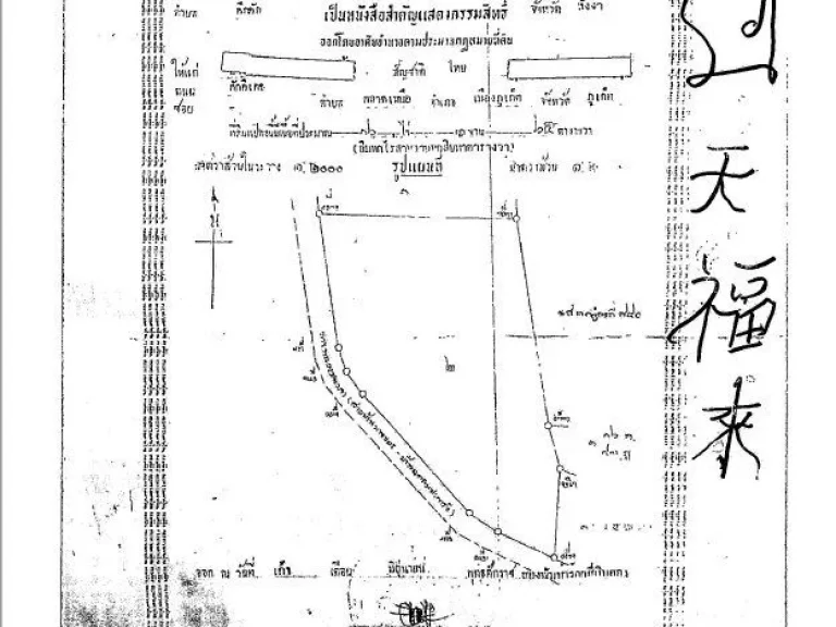 ขายที่ติดทะเลในตำบลคึกคักอำเภอตะกั่วป่าจังหวัดพังงาแหล่งท่องเที่ยวแหลมปะการัง