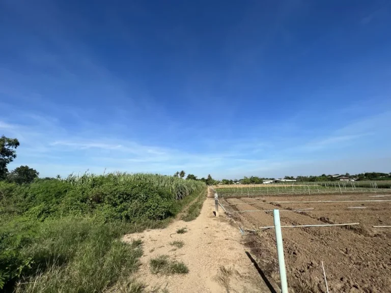 ขายที่ดิน 3 ไร่ ระบบน้ำไฟ สาธารณูปโภคถึงพร้อม จะสร้างบ้านหรือเกษตรก็ดีงาม สงบ ห่างจากถนนหลัก 900 เมตร