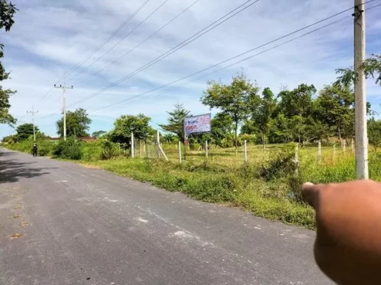 ขายที่ดินเปล่า 2 ไร่ ตดอนเจดีย์ อดอนเจดีย์ จสุพรรณบุรี