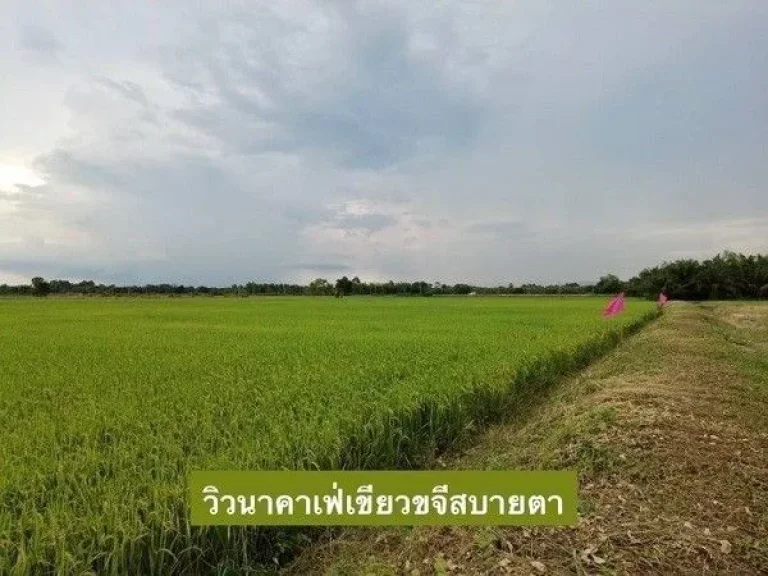 ที่ดินแบ่งขาย สดได้-ผ่อนได้ บ้านสวนอยู่สบาย 2 ตบ้านพริก อบ้านนา นครนายก