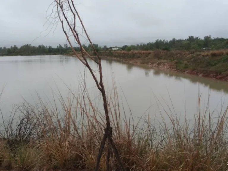 ขายที่ดิน 5-1-0 THB2625000 สามพร้าว เมือง อุดรธานี