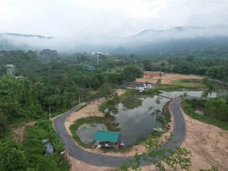 ที่ดินแบ่งขาย 3 แปลงสุดท้าย บรรยากาศดี ตสาริกา อเมือง จนครนายก