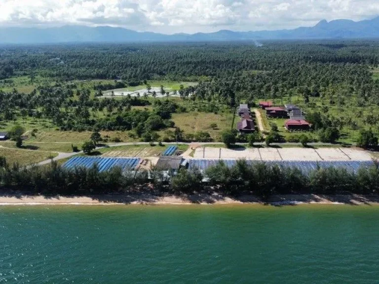 ที่ดินติดทะเล แปลงสวย ชายหาดงดงาม น้ำทะเลใส ขนาด 15 ไร่ ทับสะแก ประจวบ