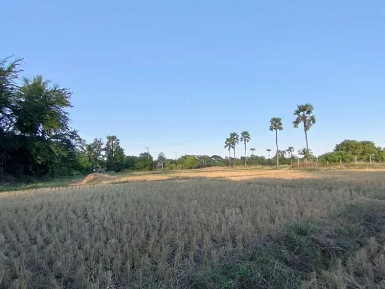 ขายที่นาในหุบเขา บ้านแม่กลาง ตบ้านหลวง อจอมทอง จเชียงใหม่