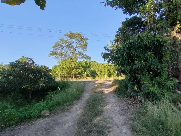 ขายที่นาในหุบเขา บ้านแม่กลาง ตบ้านหลวง อจอมทอง จเชียงใหม่