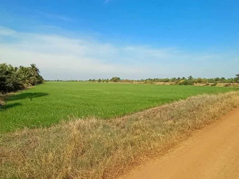 ขายที่ดิน 29 ไร่ มีไฟฟ้า ตบางยาง อบ้านสร้าง จปราจีนบุรี