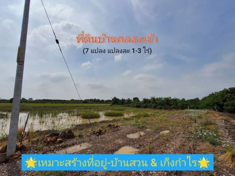 ขายที่ดินบ้านคลองเจ้า 1 ไร่ ถึง 3 ไร่ ถนน โครงการบ้านคลองเจ้า ตนราภิรมย์ อบางเลน จนครปฐม