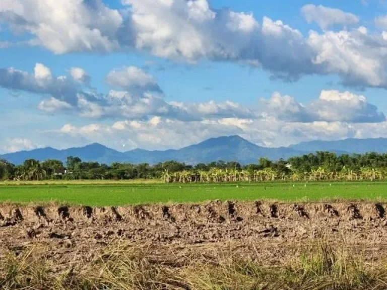 เปิดปุ๊บจองปั๊บ ที่ดินสวยวิวเขา ตท่าทราย อเมืองนครนายก เหมาะทำบ้านสวนวัยเกษียน พักผ่อนใกล้ กทม