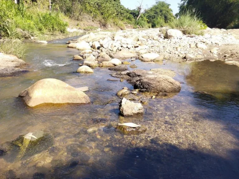 ที่ดินติดลำธาร มีโขดหินสวยงาม วิวดอยอินทนนท์ จอมทอง เชียงใหม่