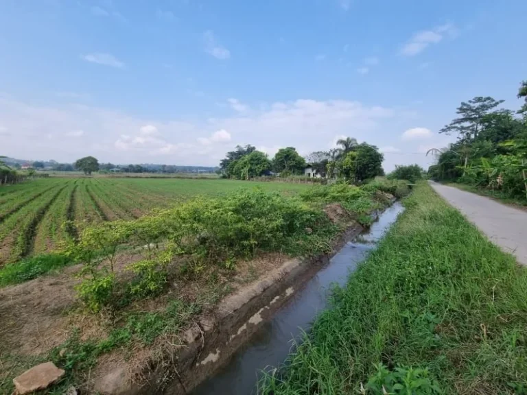 ขายที่ดินแม่ริม ที่นา วิวดอย ใกล้ราชภัฏแม่ริม เนื้อที่ 880 ตรวา ติดลำเหมือง ติดถนนคอนกรีต