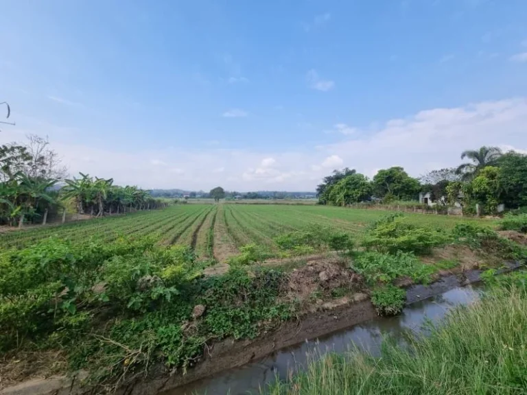 ขายที่ดินแม่ริม ที่นา วิวดอย ใกล้ราชภัฏแม่ริม เนื้อที่ 880 ตรวา ติดลำเหมือง ติดถนนคอนกรีต