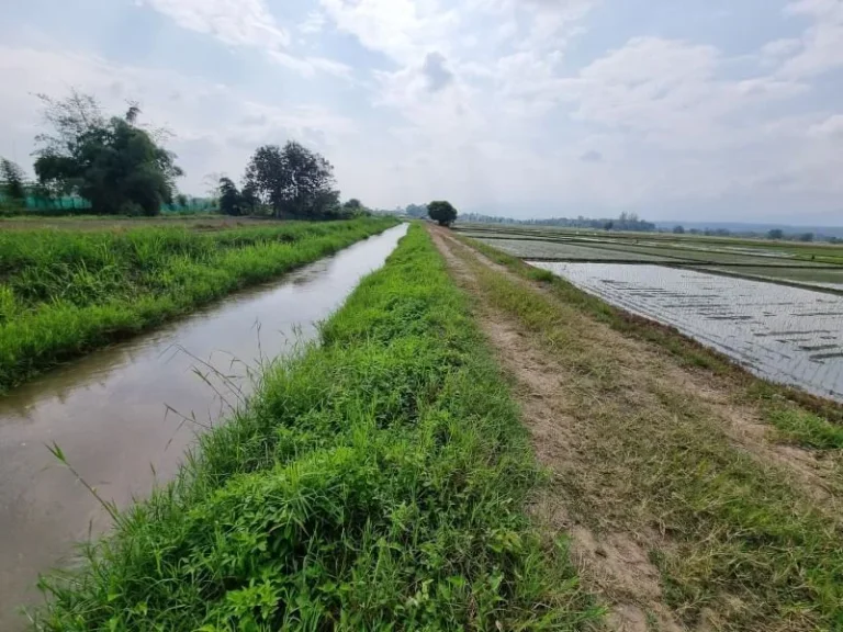 ขายที่ดินแม่ริม ที่นาติดคลองชลประทาน ใกล้มราชภัฏแม่ริม เนื้อที่ 2-1-17 ไร่