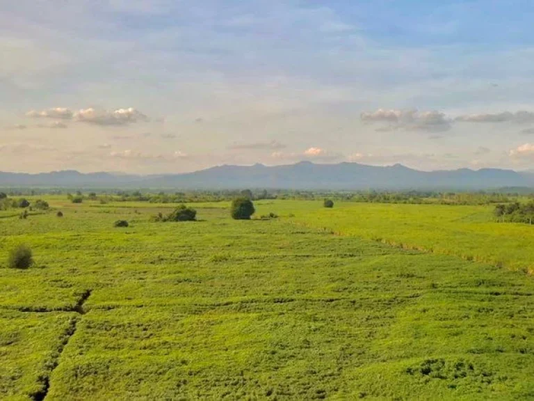 ขาย ที่ดินกาญจนาบุรี วิวภูเขา ติดถนนลาดหญ้า-บ่อพลอย ใกล้ค่ายสุรสีห์ ห่างจากศากลางเพียง 25 กม ตหนองกุ่ม อบ่อพลอย กาญจนบุรี