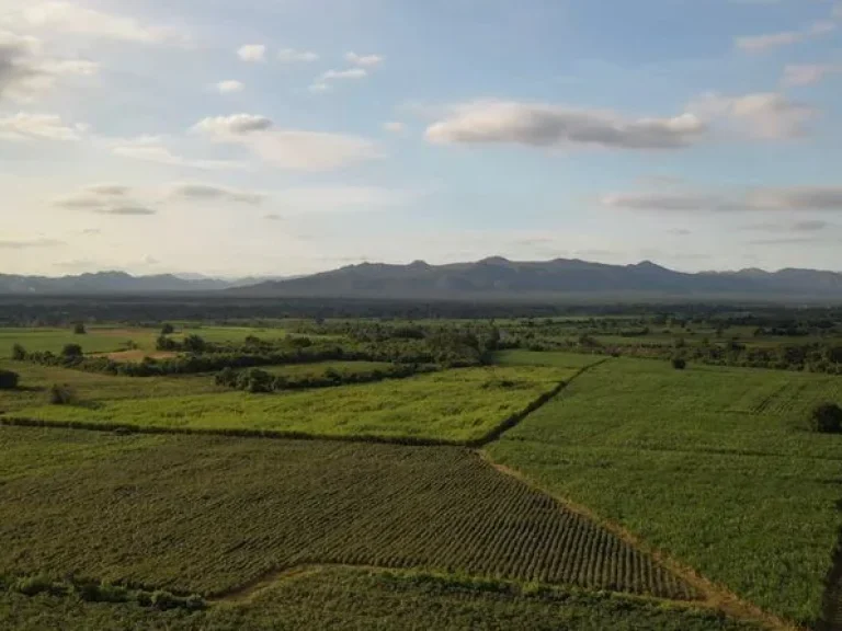 ขาย ที่ดินกาญจนาบุรี วิวภูเขา ติดถนนลาดหญ้า-บ่อพลอย ใกล้ค่ายสุรสีห์ ห่างจากศากลางเพียง 25 กม ตหนองกุ่ม อบ่อพลอย กาญจนบุรี