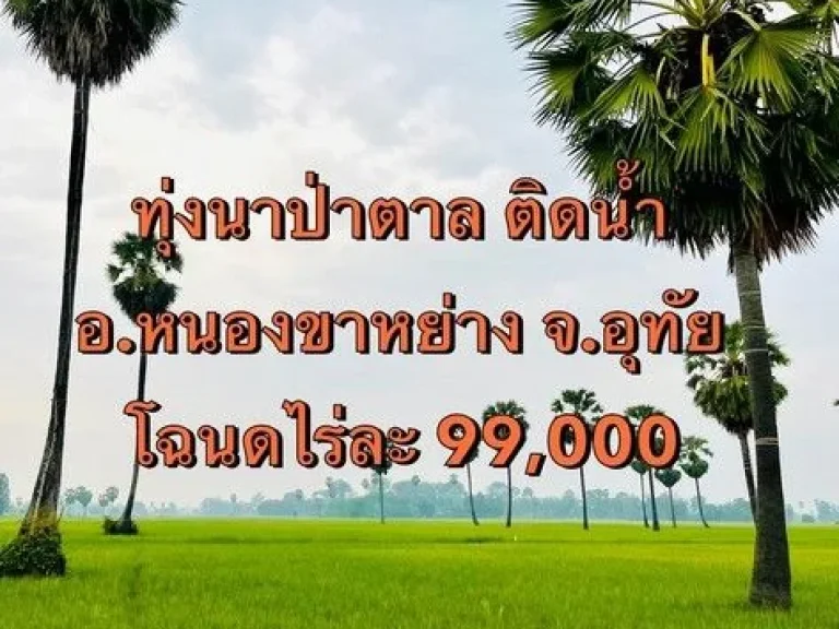 ที่นา แปลงอุทัยธานี 14 ไร่ 2 งาน 98 ตรว บ้านเนินพยอม ติดลำห้วย ตลอดทั้งแปลงมีน้ำตลอดปี