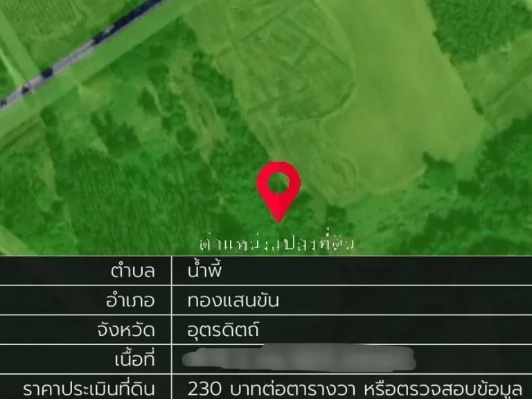 ขายที่ดินสวนยางพารา-ยูคาลิปตัส 1287 ไร่ อทองแสนขัน อุตรดิตถ์