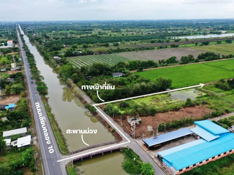 ขายที่ดินคลอง 10 ในซอย สะพานม่วง กม6 ตบึงบา อหนองเสือ จปทุมธานี