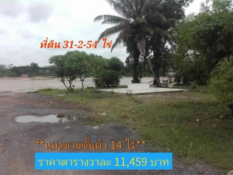 ขายที่ดินเมืองสุรินทร์ 31ไร่ครึ่ง ทำเลทองธุรกิจ ติดถนน 4 เลน สุรินทร์-จอมพระ-ร้อยเอ็ด214