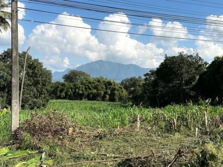 ขายที่ดิน 16-3-738 ไร่ ติดถนนหลักเชียงใหม่-ฝาง และติดลำน้ำฝาง ใกล้ Hinoki Land อไชยปราการ เชียงใหม่