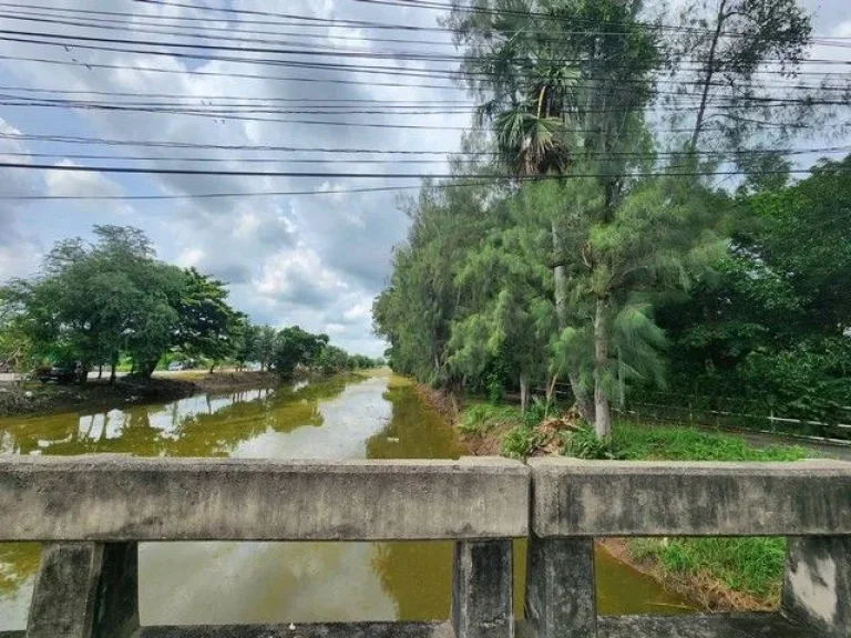 ขายด่วน ที่ดินถมแล้ว 50 ตรวในหมู่บ้านตะวันทอง ถเลียบคลอง 3 ตรงข้ามวัดวัดพระธรรมกาย