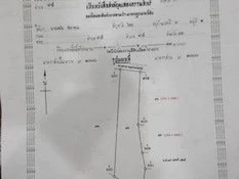 ขายด่วน ที่ดินทำเลทองถมสูง เนื้อที่ 1241 ไร่ ติดอำเภอท่าลี่ จังหวัดเล