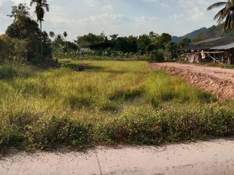 ขายที่ดิน เนื้อที่ 230 ตรว มองเห็นวิวเขา ติดถนนคอนกรีต ถมให้ฟรี