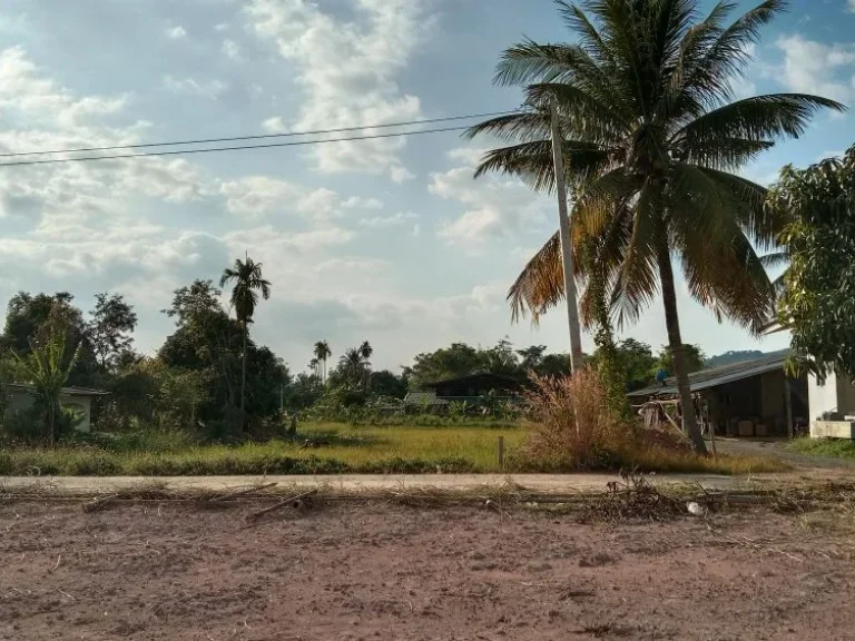 ขายที่ดิน เนื้อที่ 230 ตรว มองเห็นวิวเขา ติดถนนคอนกรีต ถมให้ฟรี