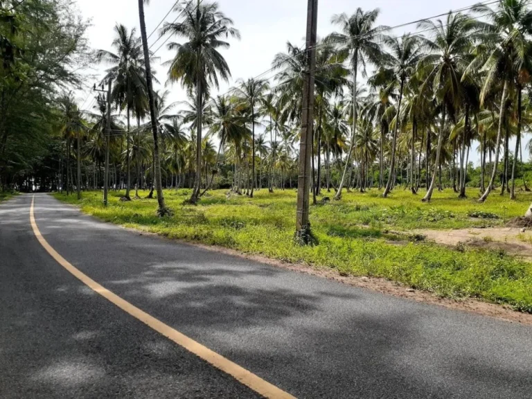 ขายที่ดินติดทะเลวิวสวยเหมาะสำหรับทำรีสอร์ทหรือโรงแรมขนาดกลางเป็นแหล่งท่องเที่ยวด้วย