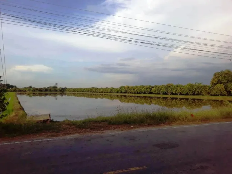 ขายที่ดินไร่รถ อดอนเจดีย์ จสุพรรณบุรี เนื้อที่ 9 ไร่