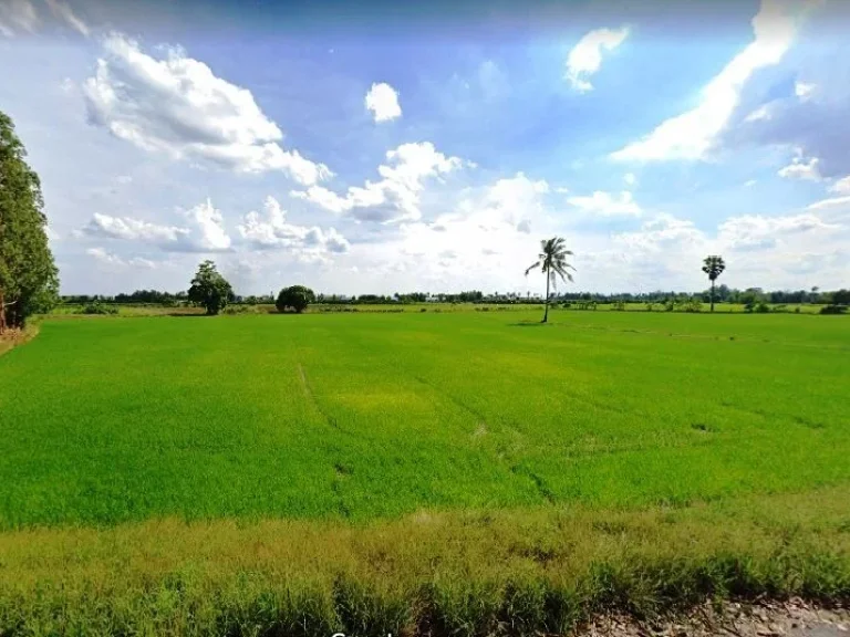 ขายที่ดินวังยาง อศรีประจันต์ จสุพรรณบุรี เนื้อที่ประมาณ 10 ไร่