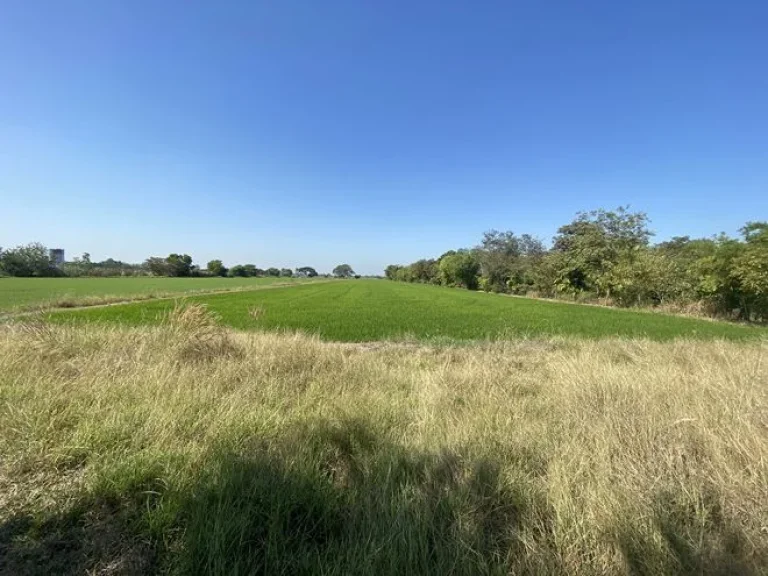 ขายที่ดิน ติดถนนใหญ่ ธัญบุรี-วังน้อย คลองเจ็ด คลองหลวง ปทุมธานี