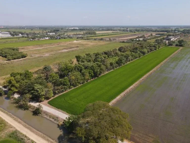 ขายที่ดิน ติดถนนใหญ่ ธัญบุรี-วังน้อย คลองเจ็ด คลองหลวง ปทุมธานี