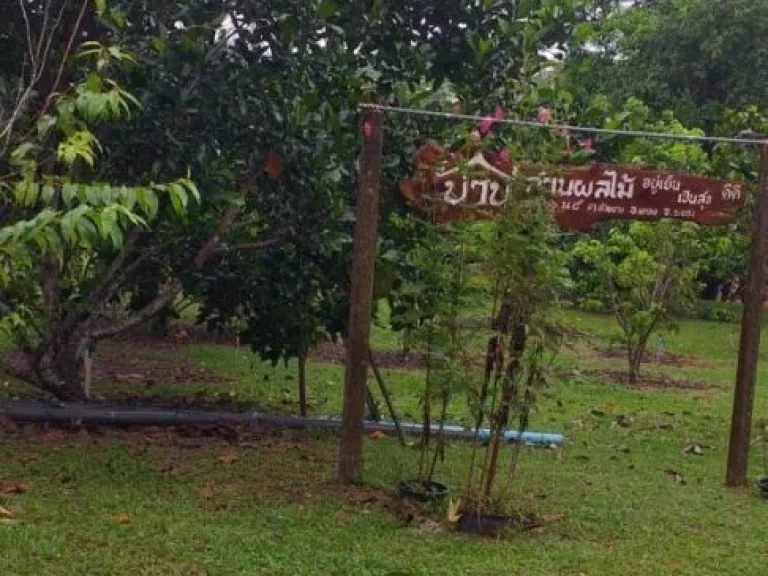 ที่ดินสวนทุเรียนระยอง สวนผลไม้ผสม พร้อมบ้านพักอาศัย ที่ดินวิวเขา ติดทาง น้ำไฟฟ้าเข้าถึงแล้ว ใกล้สถานีอนามัยบ้านเขาหินแท่น อแกลง