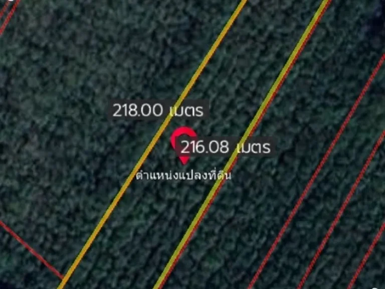 ติดถนนลาดยาง ซ12 สาย 19 พนานิคมนิคมพัฒนาระยอง ขนาด 4 ไร่ หน้ากว้าง 33 เมตร ผังเหลือง