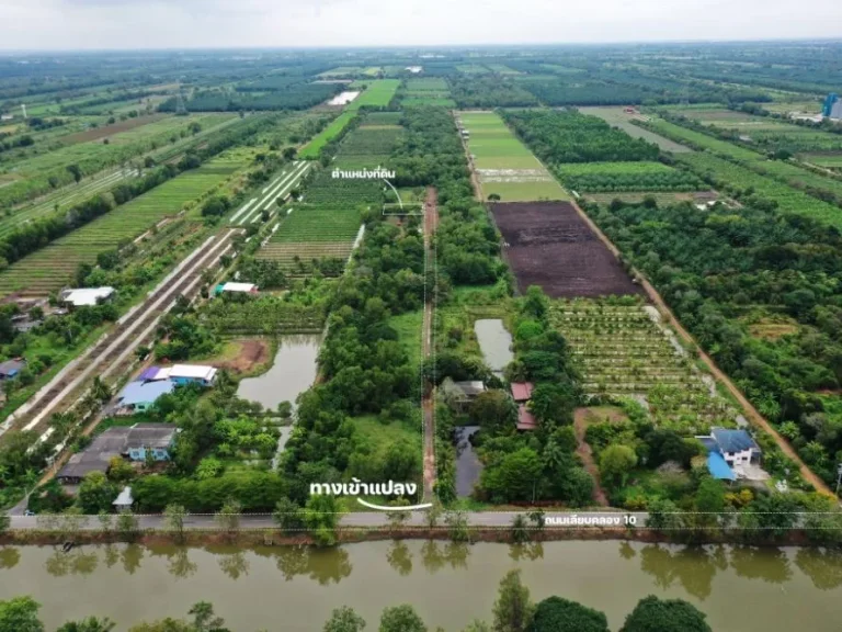 ที่ดินแปลงเล็ก ราคาถูก เหมาะทำบ้านสวนเกษตรใกล้วัดเจริญบุญ