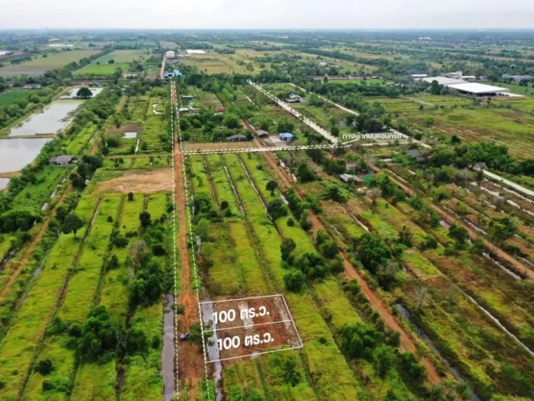 ขายที่ดิน ใกล้ Siam Original Food คลอง 10 ฝั่งตะวันออก