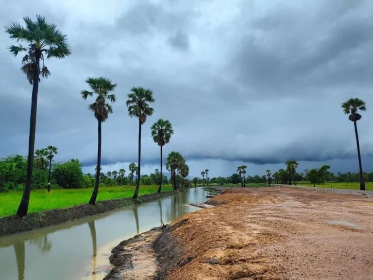 ขายที่ดิน 8 ไร่ บรรยากาศทุ่งนา ติดคลองน้ำ Mong du na Phetchaburi มองดูนา เพชรบุรี 