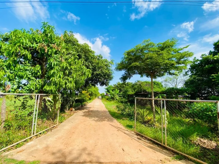 ขายที่ดิน ไร่ นา สวนผสม 5 ไร่ พร้อมบ้าน เมืองหงส์ จตุรพักตรพิมาน ร้อยเอ็ด