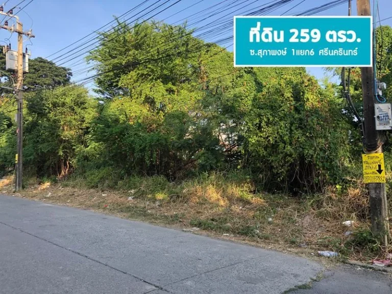 ขายที่ดิน 259 ตรว แปลงสวย ศรีนครินทร์ ซสุภาพงษ์ 1แยก6