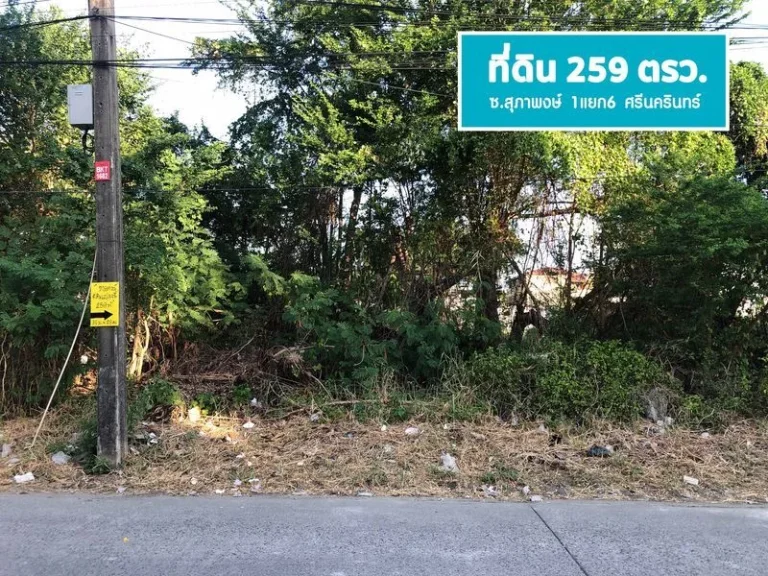 ขายที่ดิน 259 ตรว แปลงสวย ศรีนครินทร์ ซสุภาพงษ์ 1แยก6