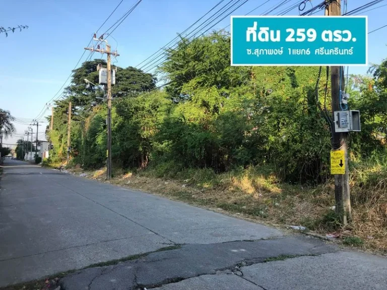 ขายที่ดิน 259 ตรว แปลงสวย ศรีนครินทร์ ซสุภาพงษ์ 1แยก6