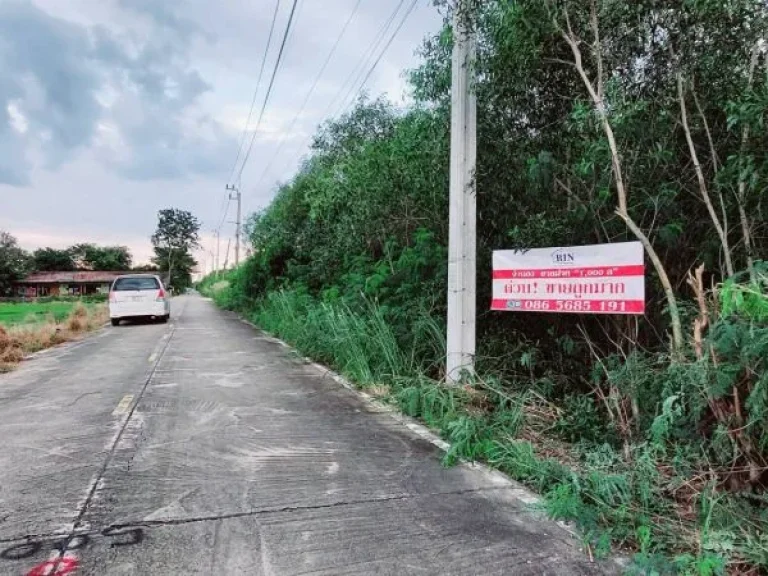 ขายที่ดิน 1ไร่ ไทรใหญ่ บางบัวทอง นนทบุรี จากถนนใหญ่เส้น 340 เเค่ 150 เมตร ถนนบางบัวทอง-สุพรรณบุรี