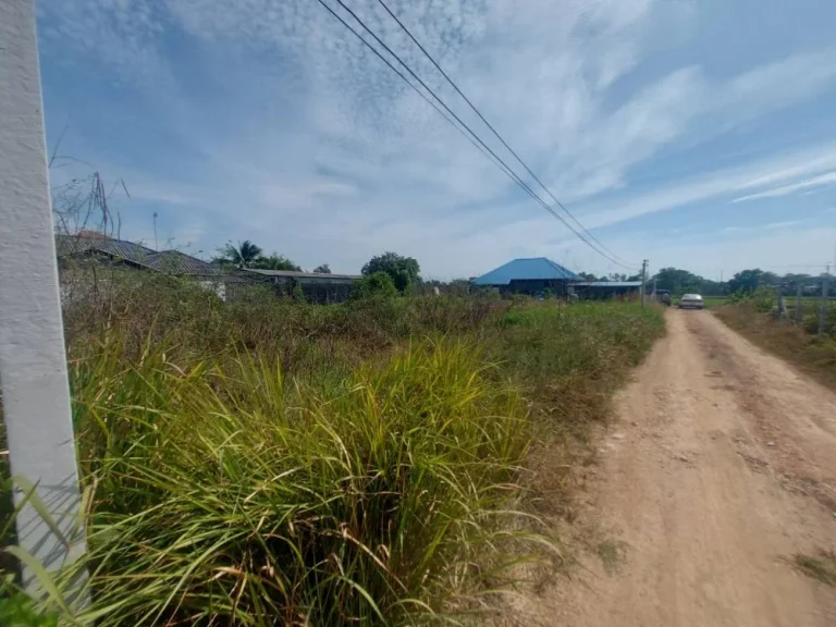 แบ่งขายที่ดินเปล่า ถนนคลองเก้าหนองจอก 100 ตรวและ 60 ตรว