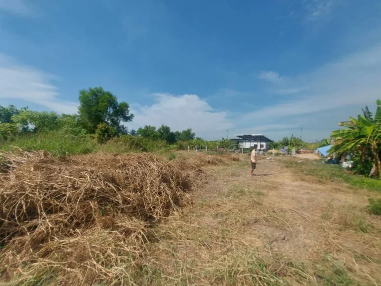 แบ่งขายที่ดินเปล่า ถนนคลองเก้าหนองจอก 100 ตรวและ 60 ตรว