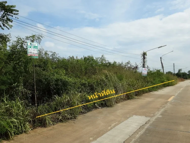 ขาย ที่ดิน 4-2-34 ไร่ ลาดหลุมแก้ว ปทุมธานี ดินดี ติดถนนคอนกรีต