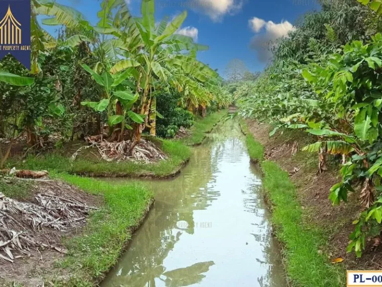 ที่ดินสวนผลไม้ ถนนเลียบคลองสาม ด้านหน้าติดถนนคอนกรีต หนองเพรางาย ไทรน้อย นนทบุรี